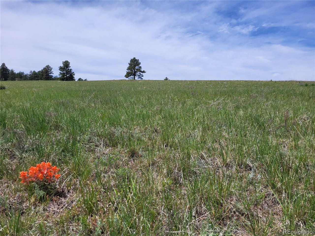 21 Rd Elizabeth Co 80107 Elizabeth, CO 80107 - Photo 32 of 40 Gallery Image 32