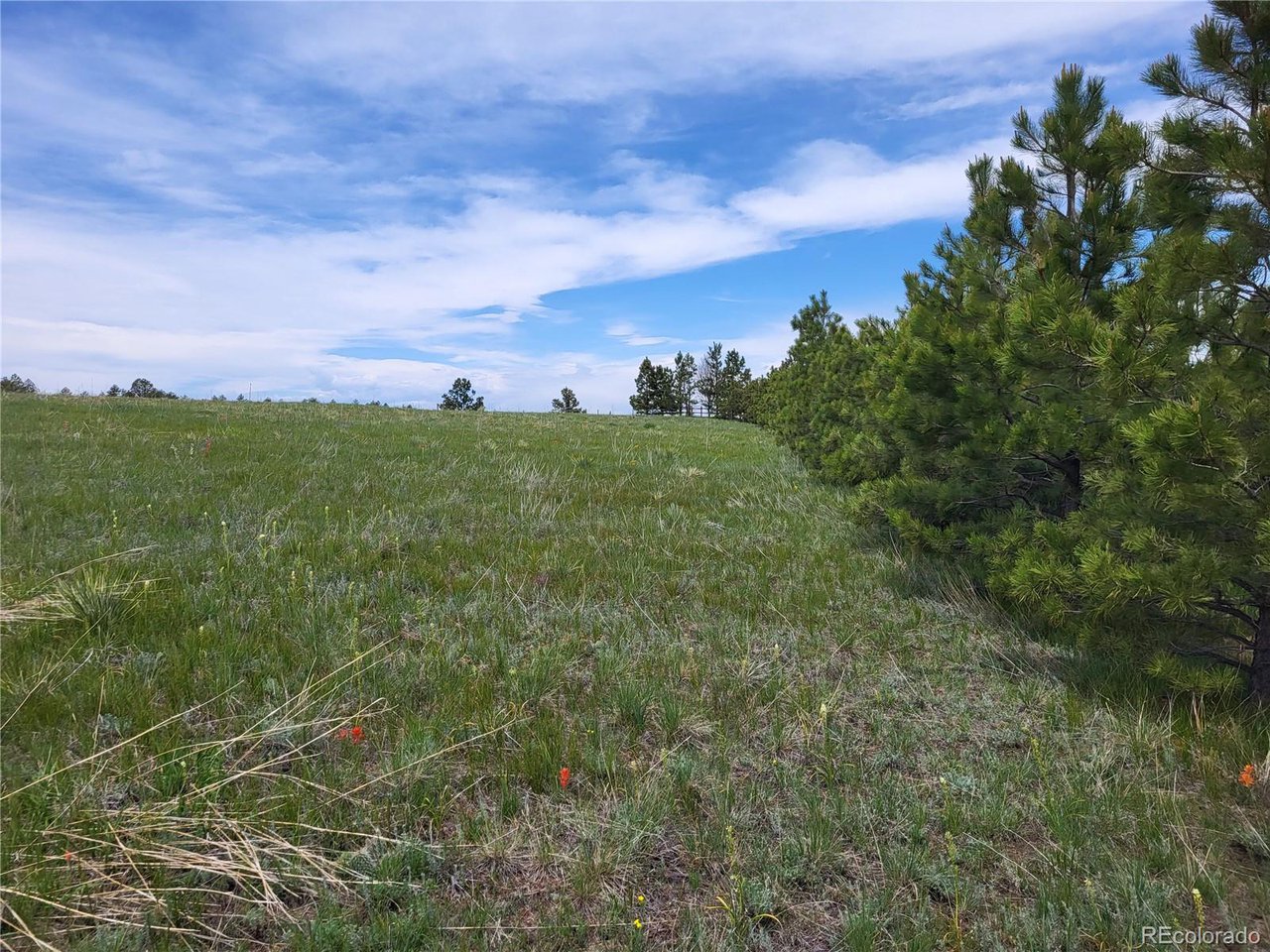 21 Rd Elizabeth Co 80107 Elizabeth, CO 80107 - Photo 35 of 40 Gallery Image 35