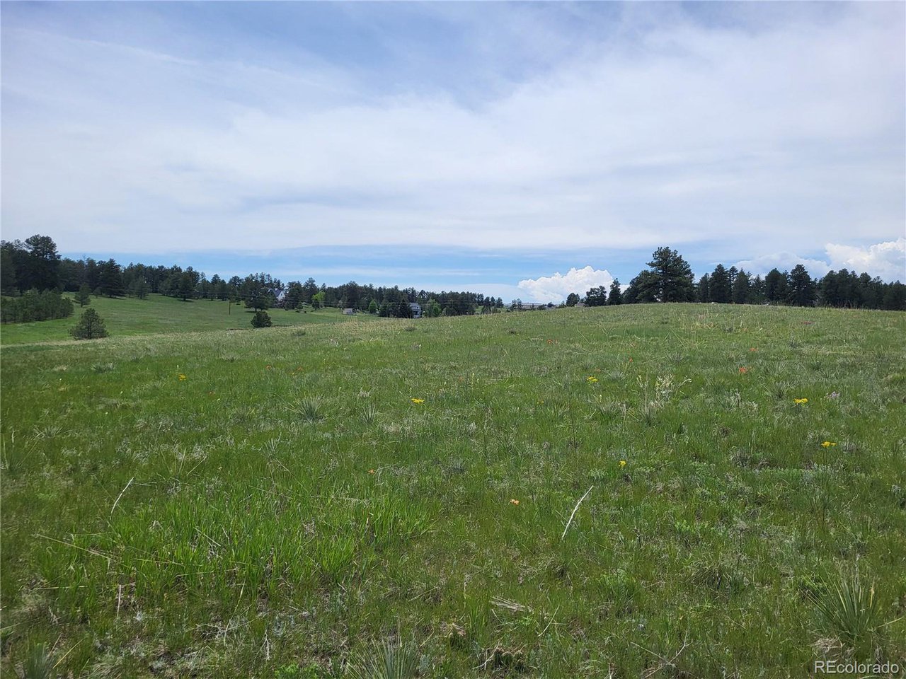 21 Rd Elizabeth Co 80107 Elizabeth, CO 80107 - Photo 36 of 40 Gallery Image 36