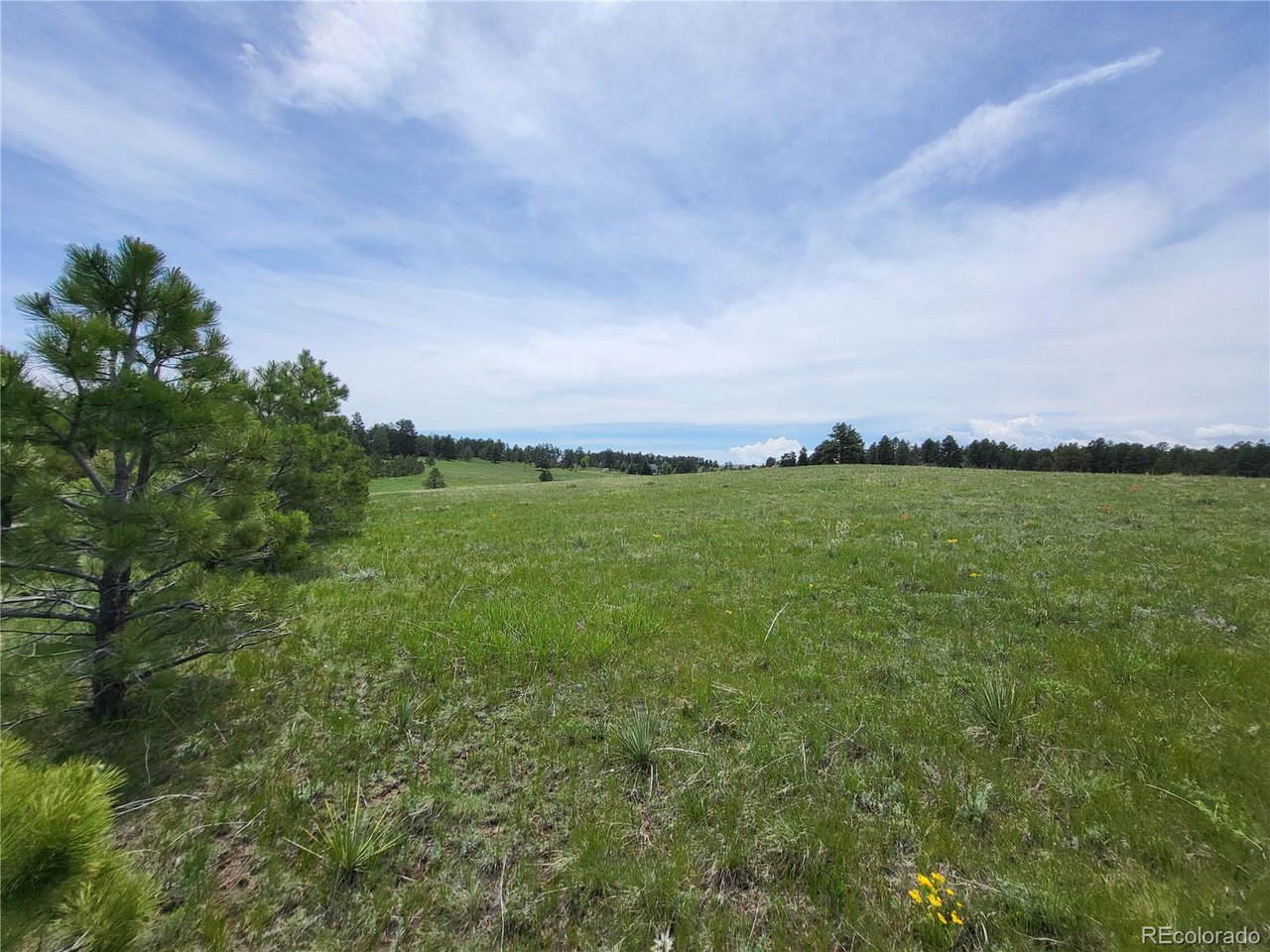 21 Rd Elizabeth Co 80107 Elizabeth, CO 80107 - Photo 37 of 40 Gallery Image 37