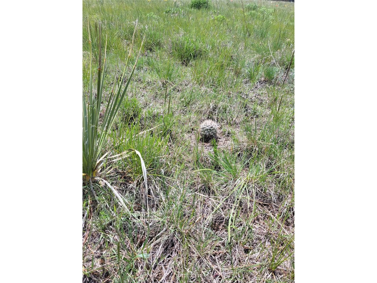21 Rd Elizabeth Co 80107 Elizabeth, CO 80107 - Photo 38 of 40 Gallery Image 38