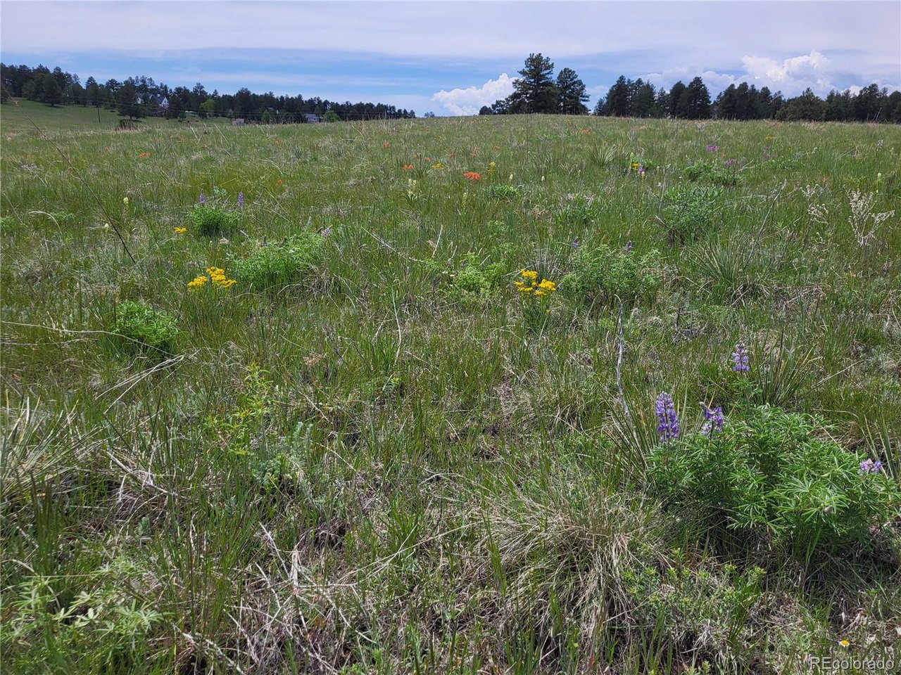 21 Rd Elizabeth Co 80107 Elizabeth, CO 80107 - Photo 39 of 40 Gallery Image 39