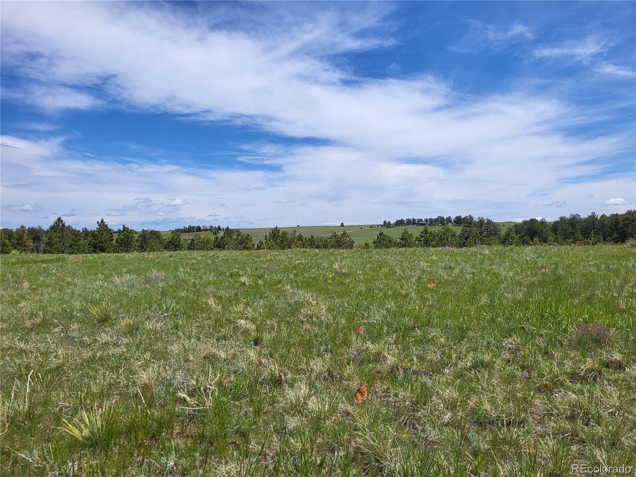 21 Rd Elizabeth Co 80107 Elizabeth, CO 80107 - Photo 5 of 40 Gallery Image 5