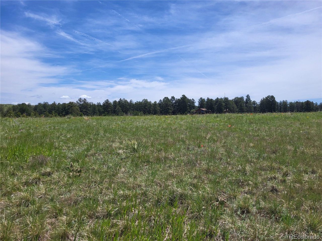 21 Rd Elizabeth Co 80107 Elizabeth, CO 80107 - Photo 6 of 40 Gallery Image 6