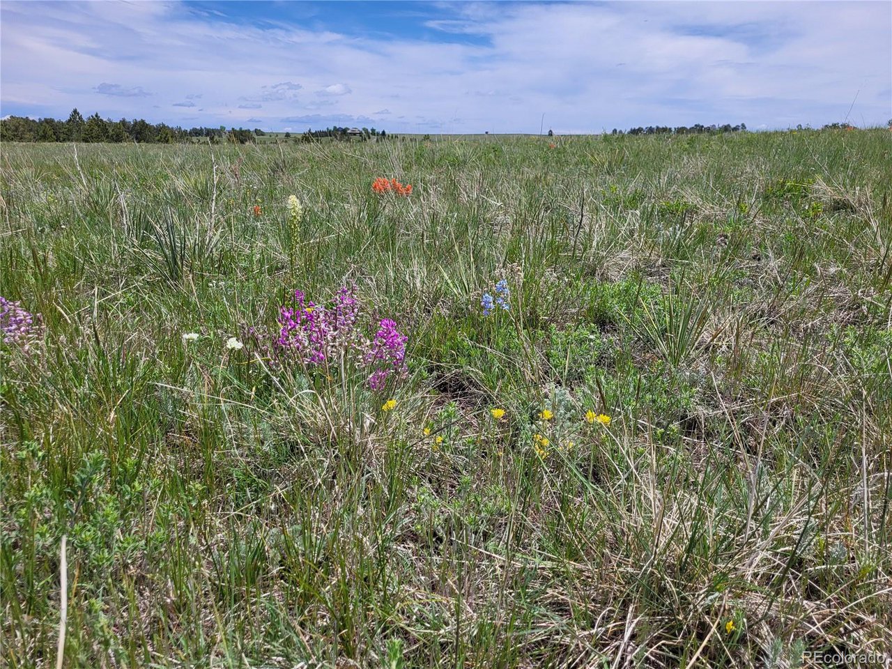 21 Rd Elizabeth Co 80107 Elizabeth, CO 80107 - Photo 7 of 40 Gallery Image 7