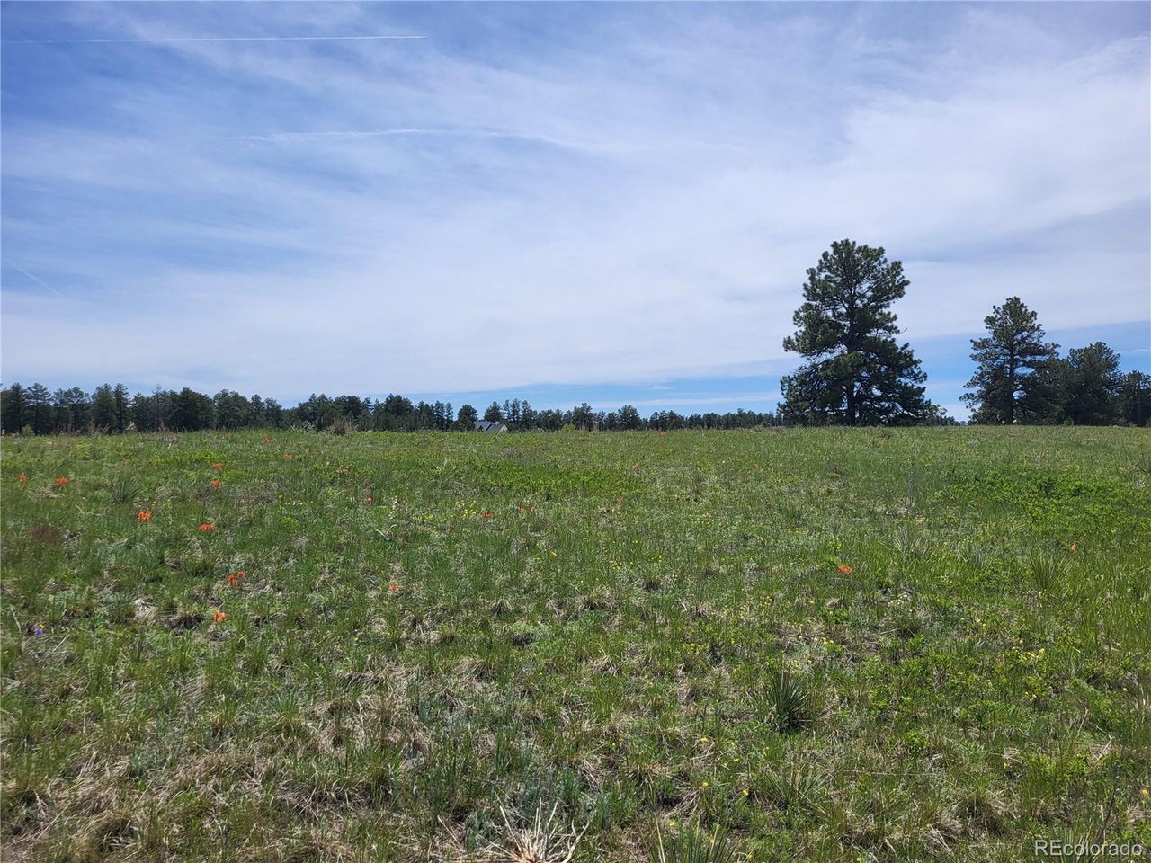 21 Rd Elizabeth Co 80107 Elizabeth, CO 80107 - Photo 10 of 40 Gallery Image 10