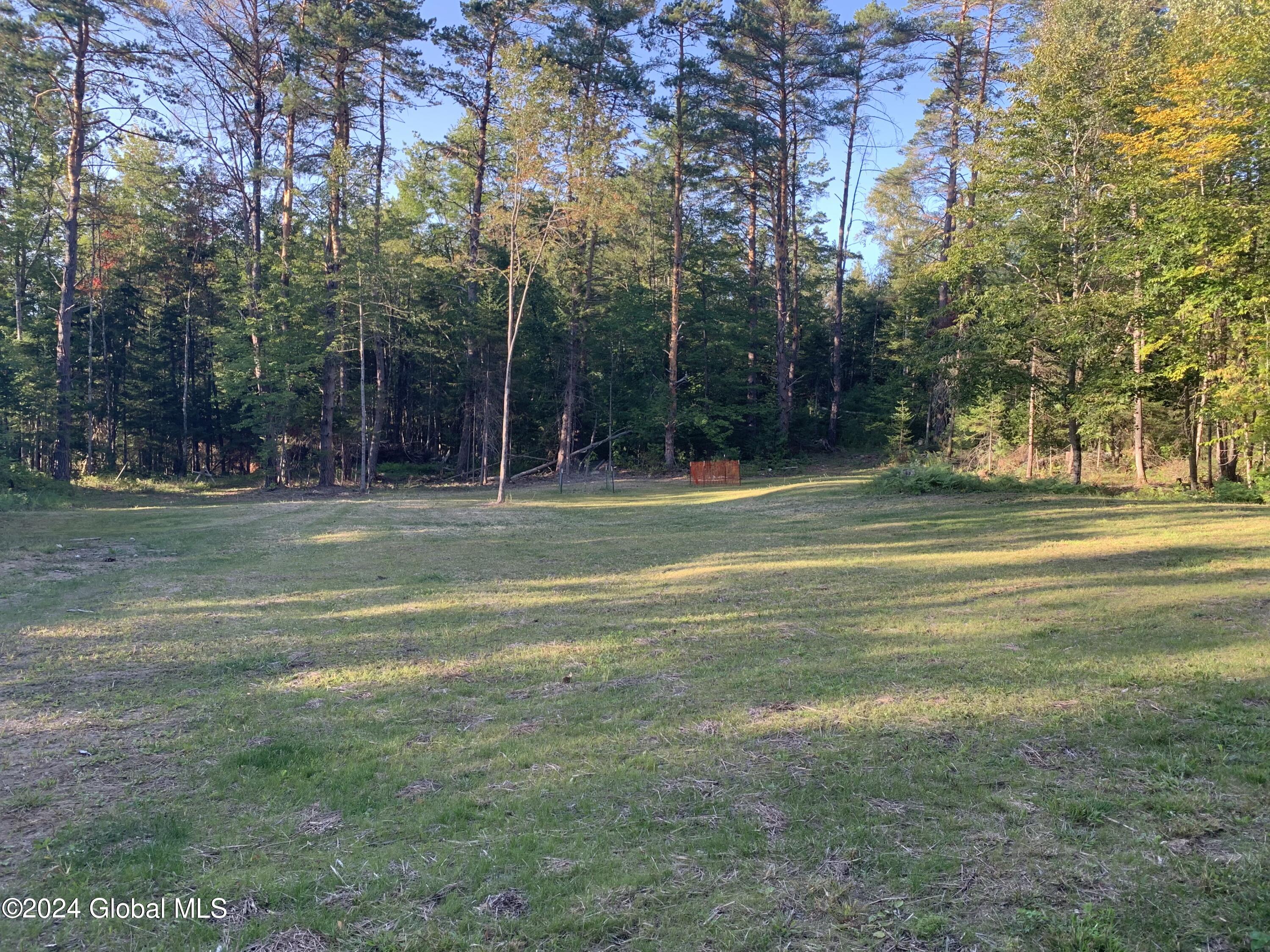 56 Federal Flats Road Minerva, NY 12857 - Photo 28 of 35 IMG_6877