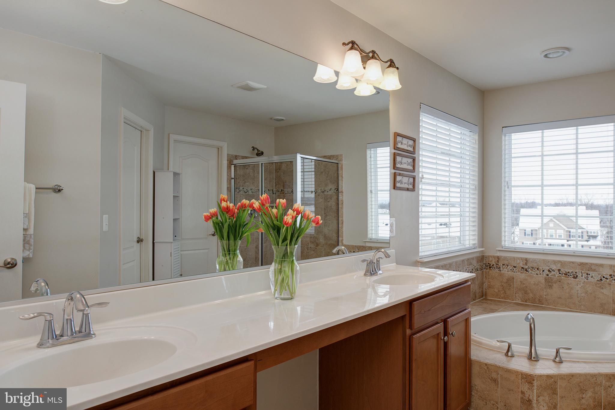 43142 Rocks Way Leesburg, VA 20176 - Photo 18 of 36 RAISED DOUBLE SINK VANITY IN PRIMARY BATH