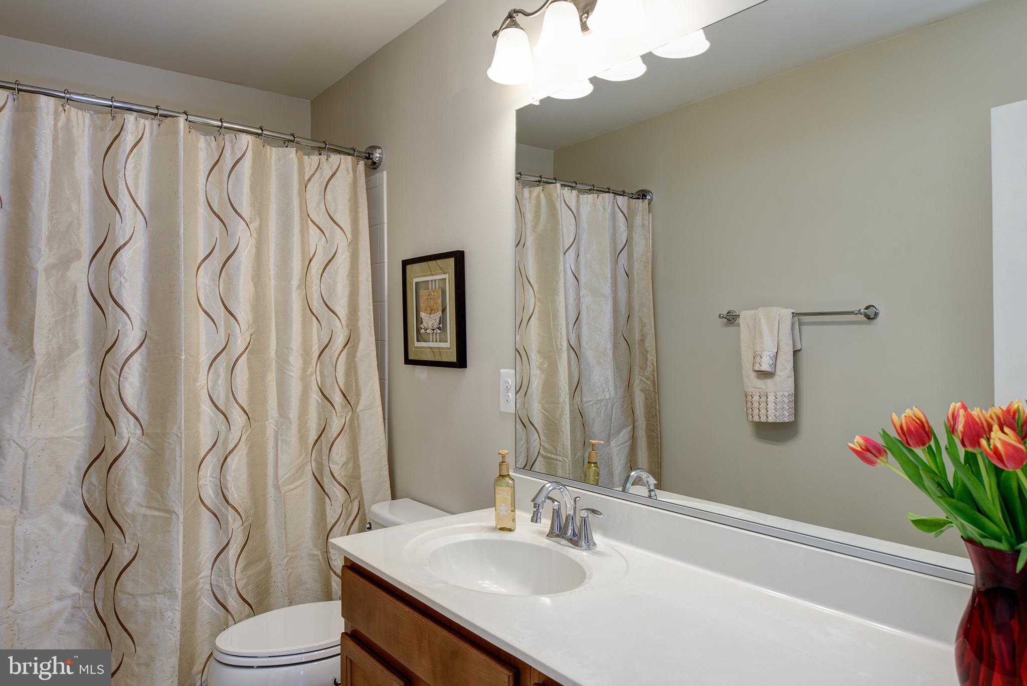 43142 Rocks Way Leesburg, VA 20176 - Photo 22 of 36 FAMILY BATH