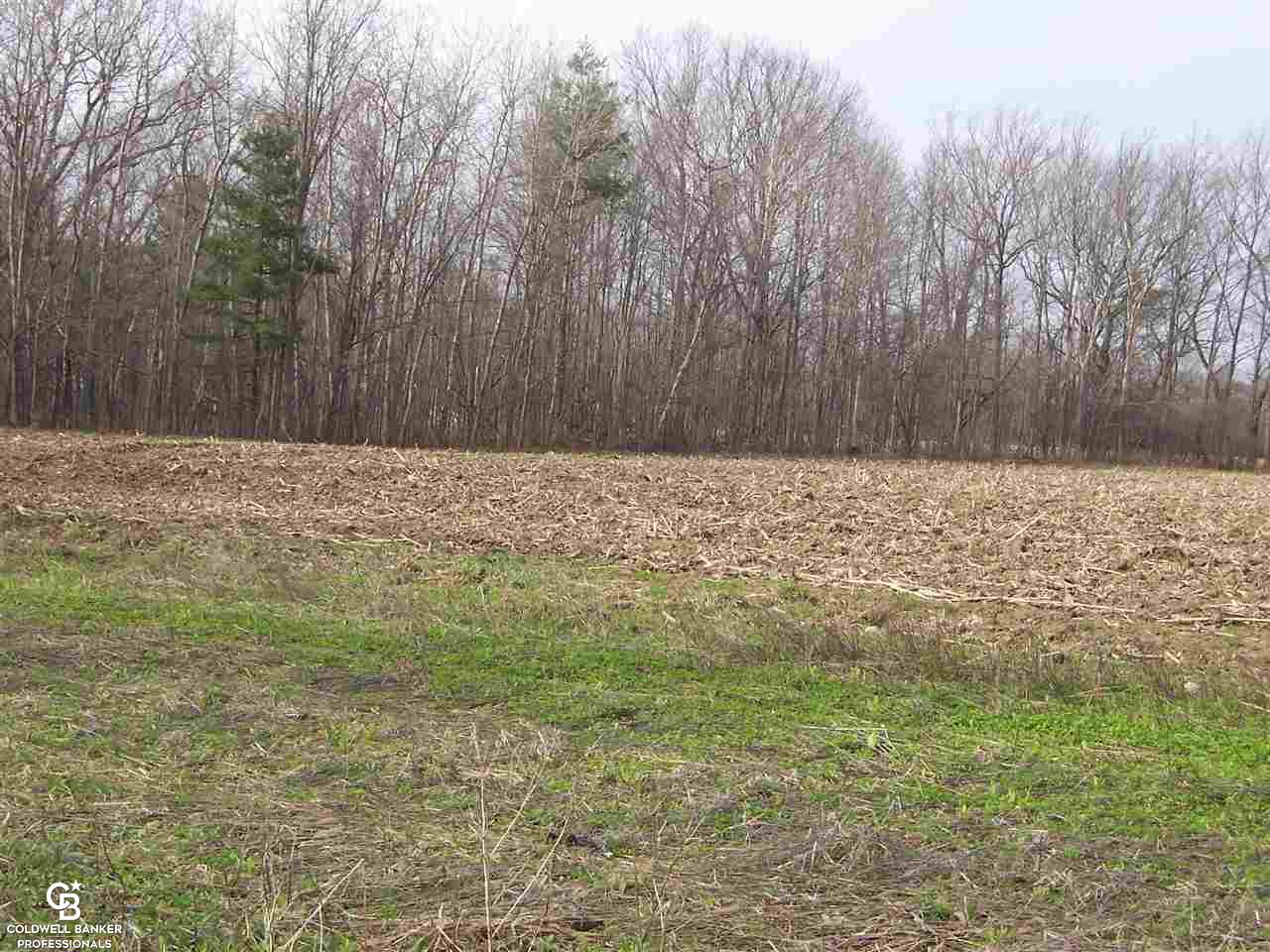 0 Norman Road Fort Gratiot, MI 48059 - Photo 8 of 10 31236126-7.JPG