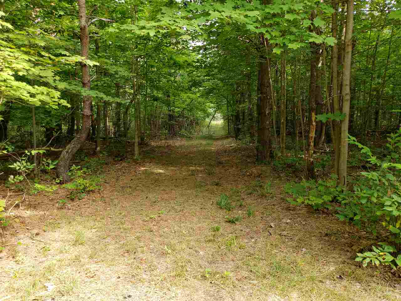3247 Hammer Road West Kingsley, MI 49649 - Photo 71 of 74 1878693-70.JPG