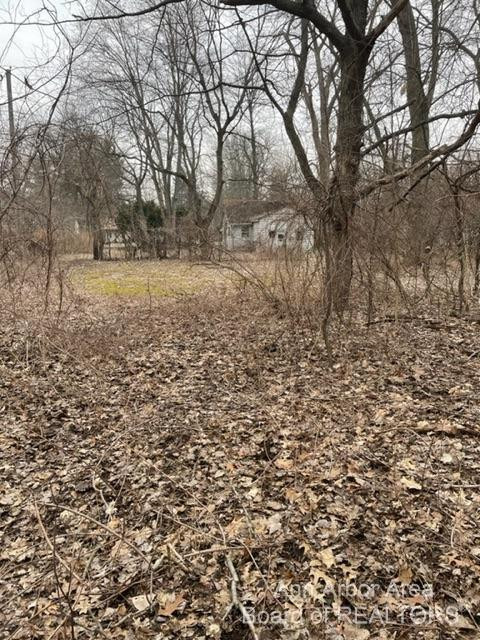 21989 Berg Road Southfield, MI 48033 - Photo 7 of 24 Photo 7