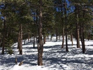 St Vrain Road Lyons, CO 80540 - Photo 11 of 21 Gallery Image 11
