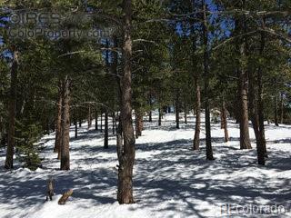 St Vrain Road Lyons, CO 80540 - Photo 16 of 21 Gallery Image 16
