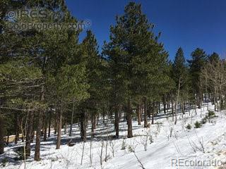 St Vrain Road Lyons, CO 80540 - Photo 17 of 21 Gallery Image 17