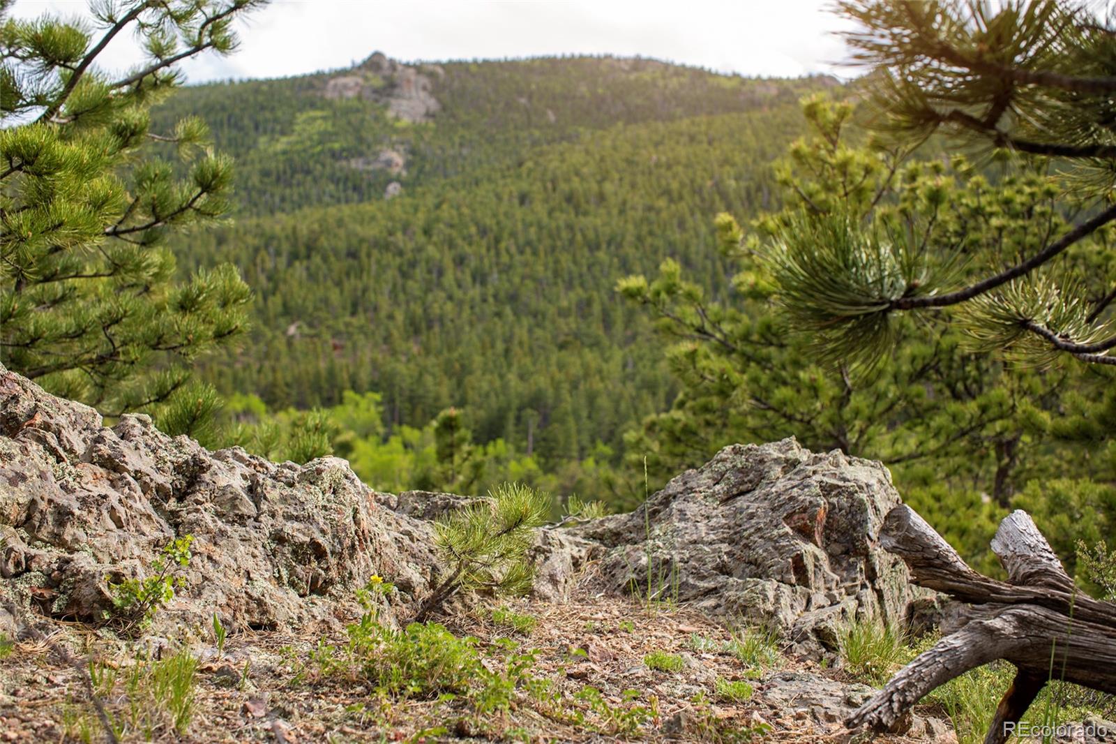St Vrain Road Lyons, CO 80540 - Photo 3 of 21 Gallery Image 3