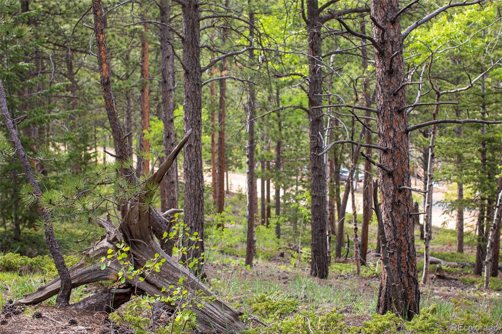 St Vrain Road Lyons, CO 80540 - Photo 4 of 21 Gallery Image 4