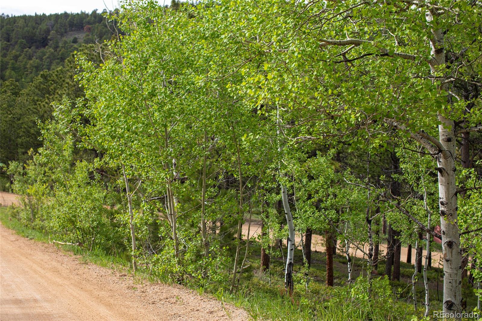St Vrain Road Lyons, CO 80540 - Photo 6 of 21 Gallery Image 6