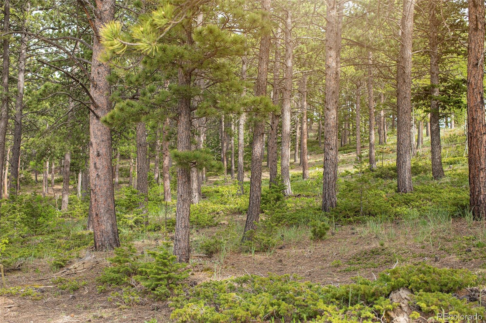 St Vrain Road Lyons, CO 80540 - Photo 7 of 21 Gallery Image 7