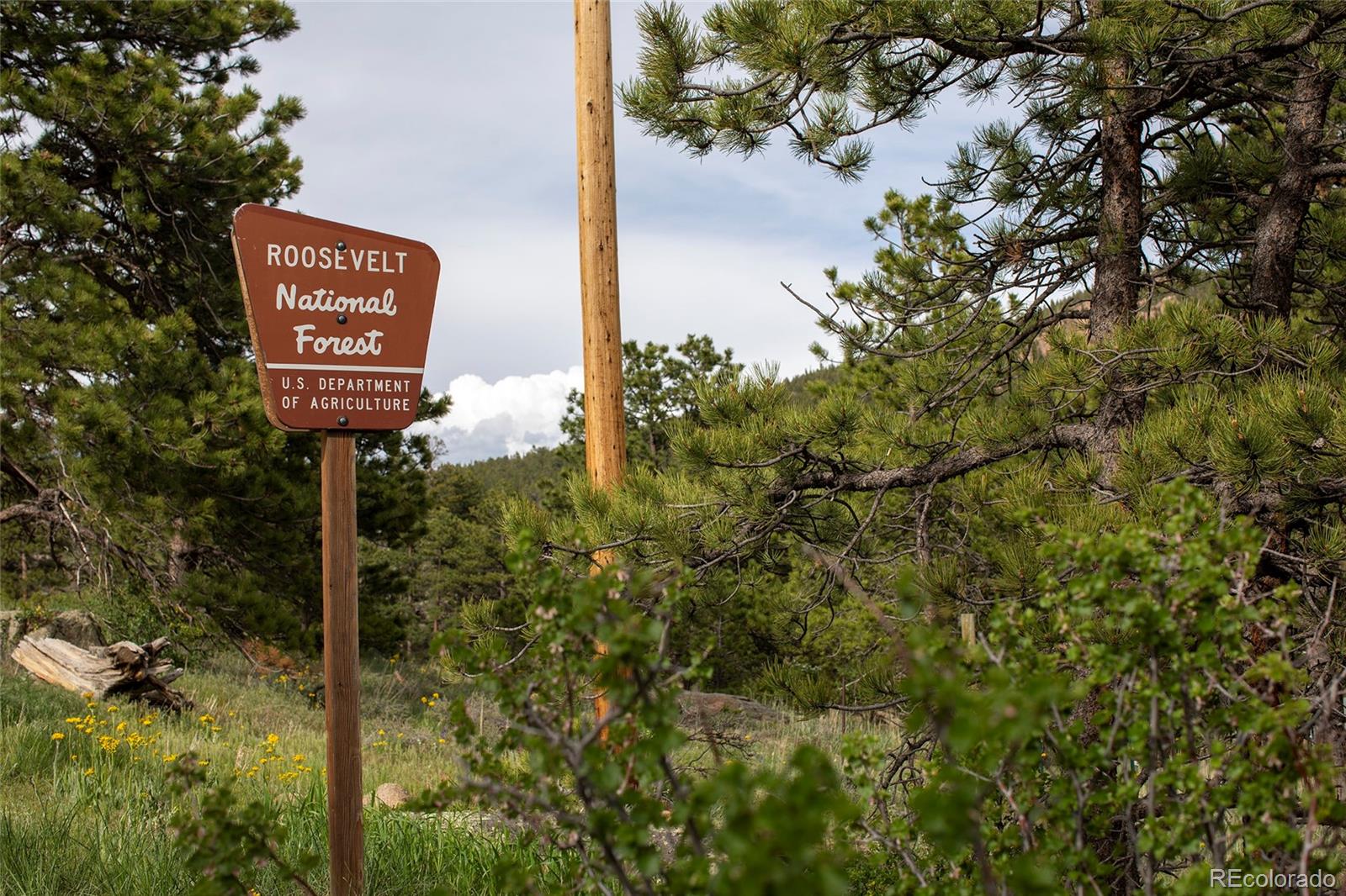 St Vrain Road Lyons, CO 80540 - Photo 8 of 21 Gallery Image 8