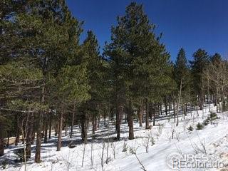 St Vrain Road Lyons, CO 80540 - Photo 9 of 21 Gallery Image 9