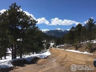 St Vrain Road Lyons, CO 80540 - Photo 10 of 21 Gallery Image 10