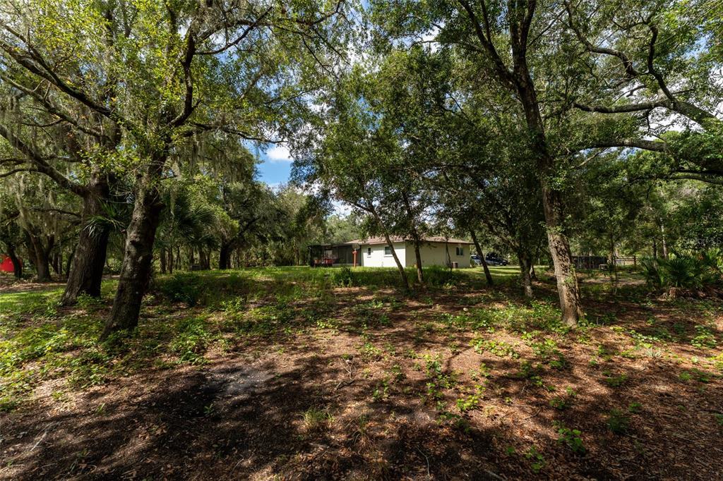 14150 Highland Road Wimauma, FL 33598 - Photo 62 of 70 Gallery Image 62