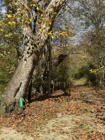 $245,000 | 0 Brush Fork Road, Guilford, IN 47022