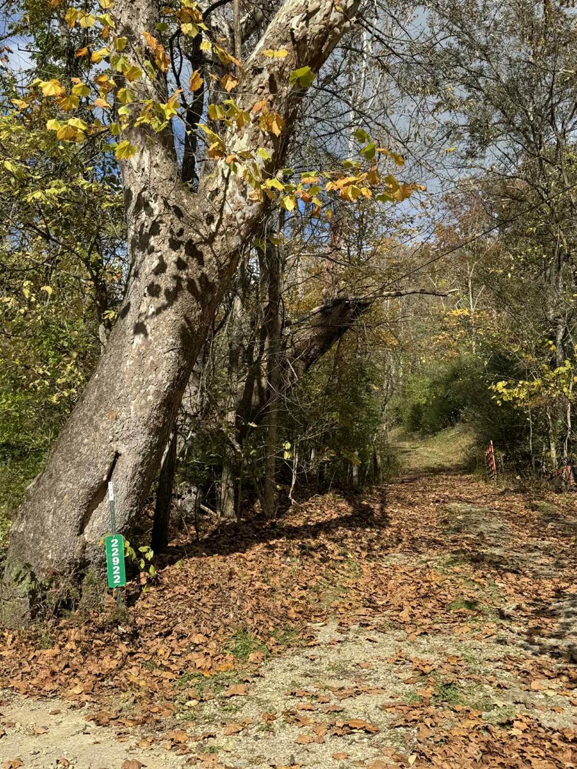 0 Brush Fork Road Guilford, IN 47022 - Photo 2 of 7