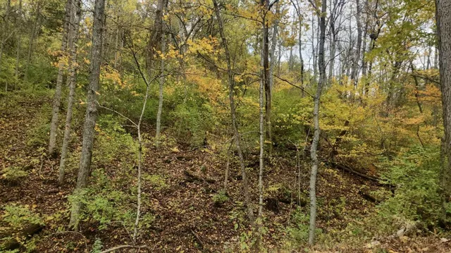 $245,000 | 0 Brush Fork Road, Guilford, IN 47022
