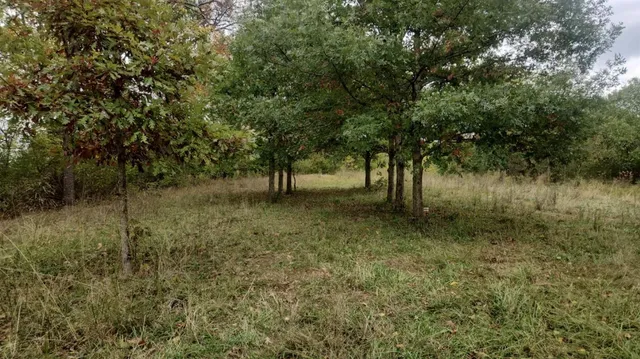 $245,000 | 0 Brush Fork Road, Guilford, IN 47022