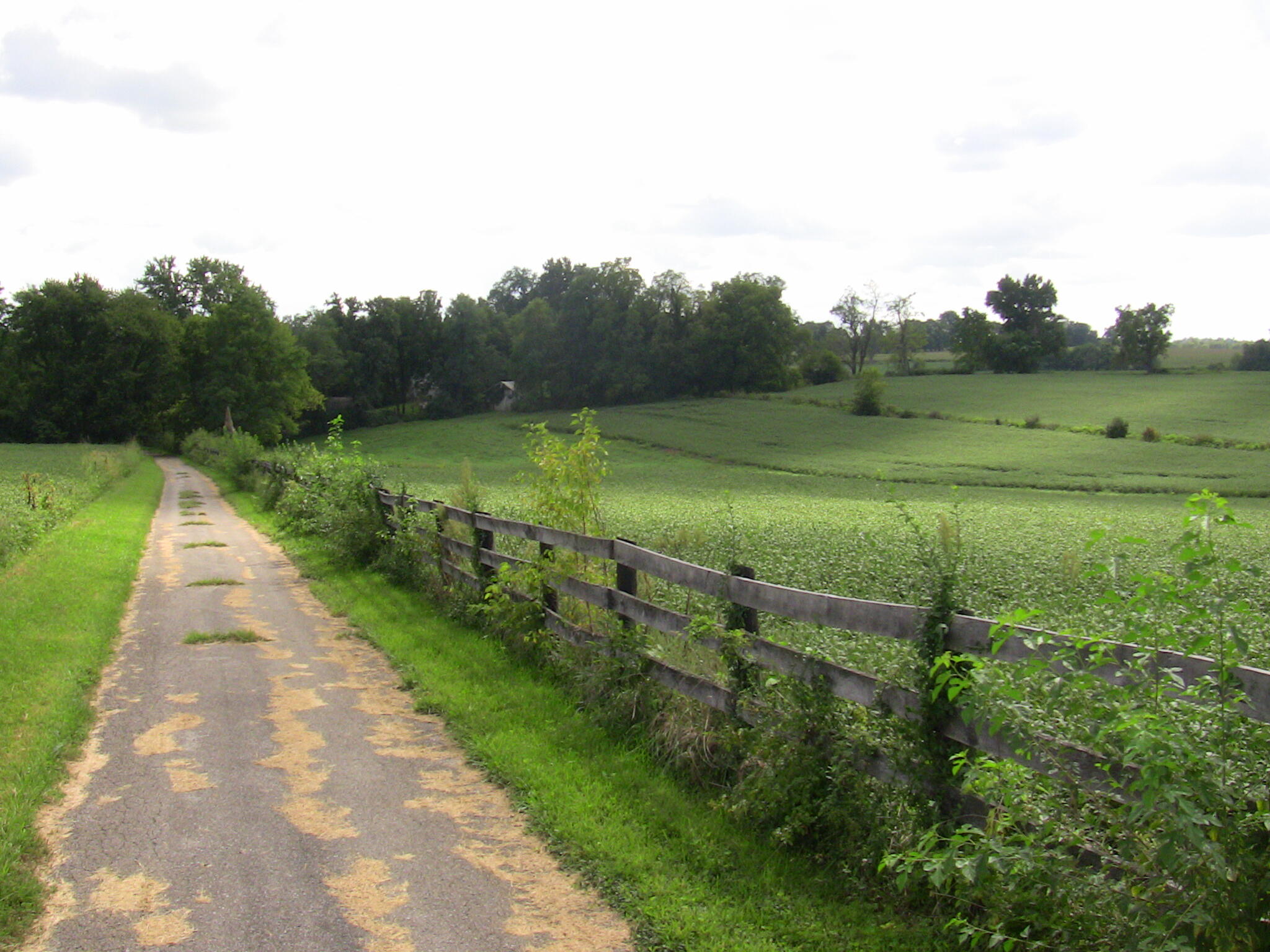 2750 Paynes Mill Road Versailles, KY 40383 - Photo 15 of 26 IMG_1863