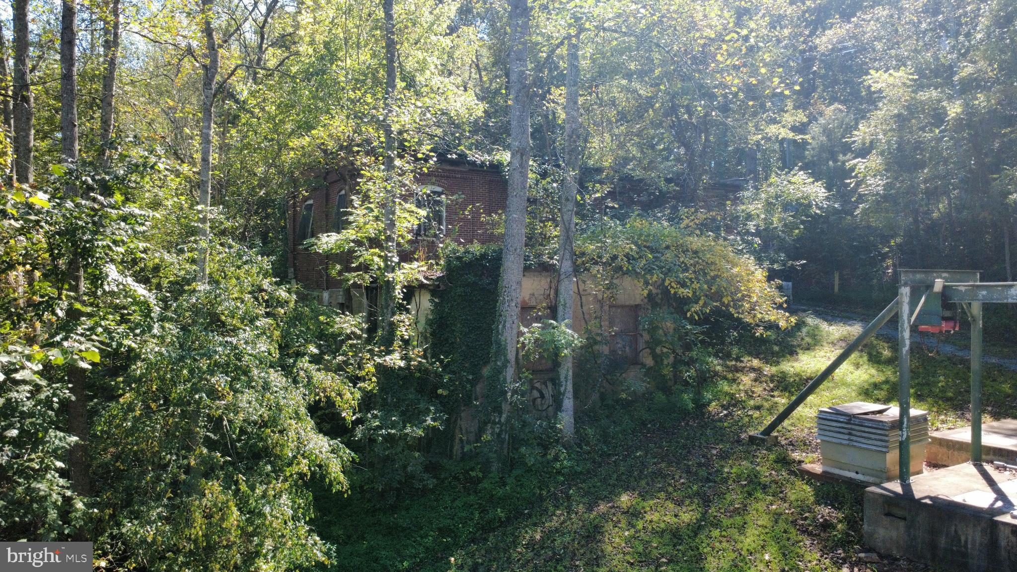 12967 Spicers Mill Road Orange, VA 22960 - Photo 11 of 21 a view of outdoor space and garden
