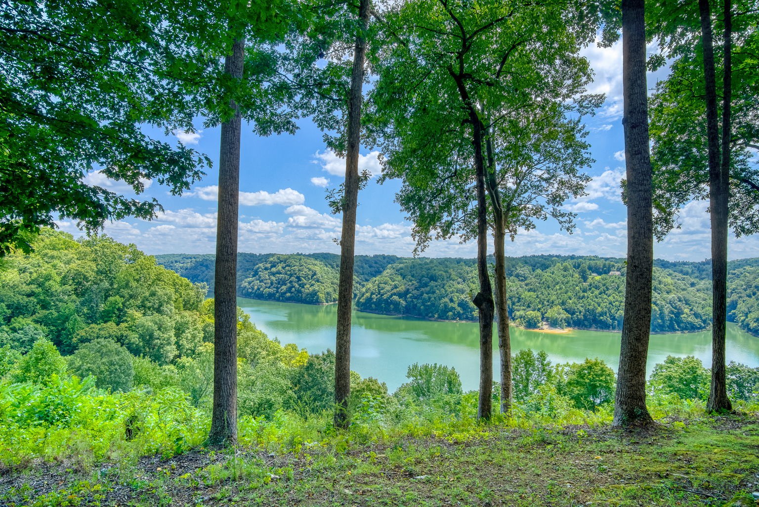 1235 Stillhouse Branch Road Sparta, TN 38583 - Photo 29 of 38 Gallery Image 29