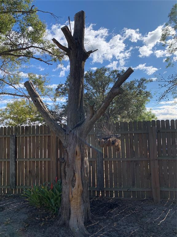 5933 County Road 660 Arcadia, FL 34266 - Photo 37 of 39