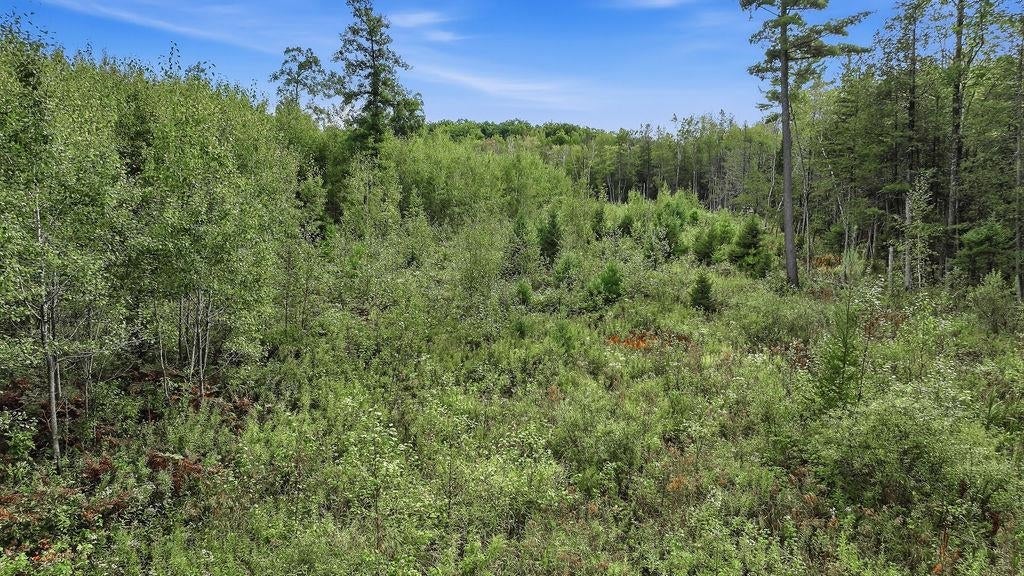 0 Behnke Road Iola, WI 54945 - Photo 10 of 42 Gallery Image 10
