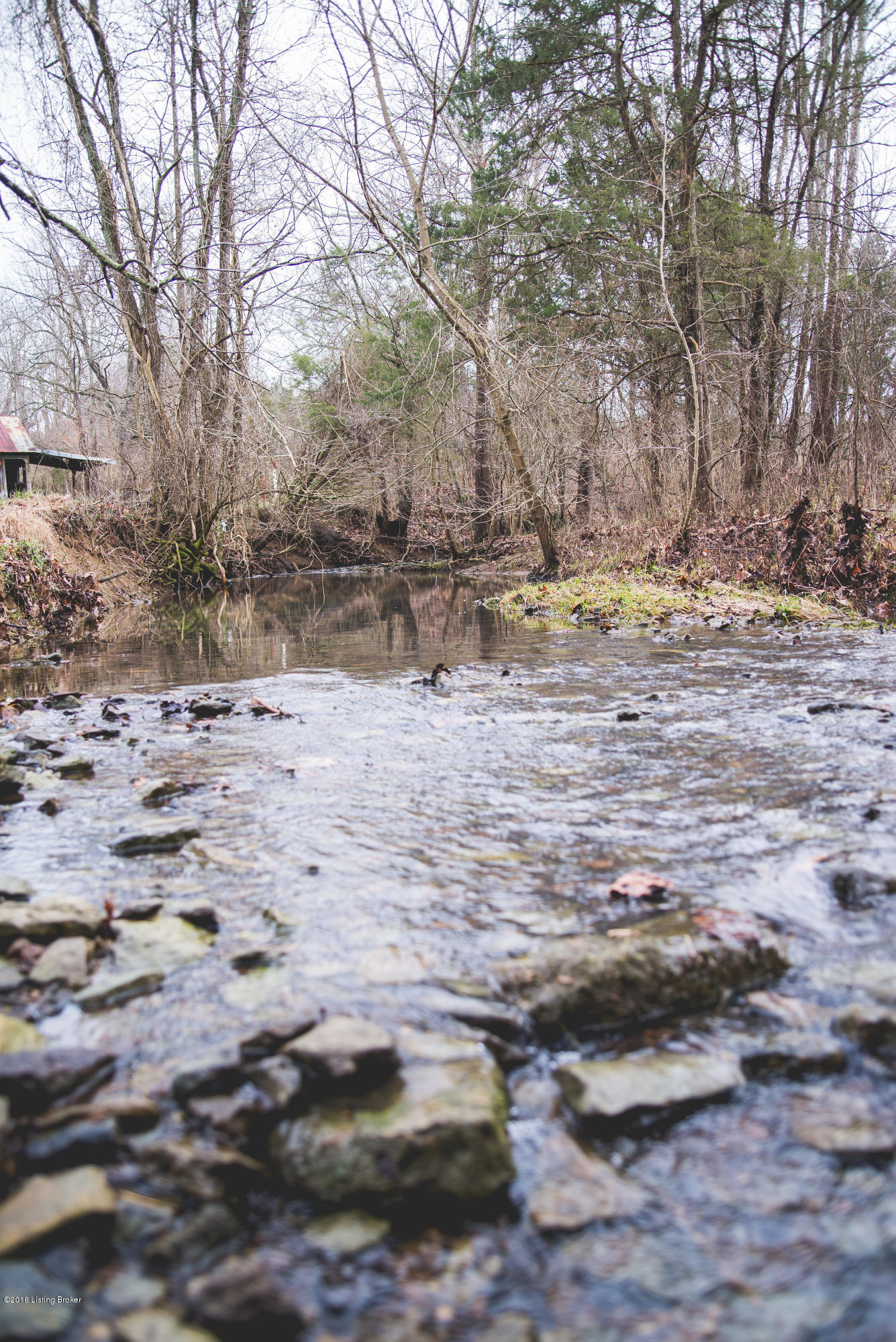 7397 Cedar Grove Road Shepherdsville, KY 40165 - Photo 20 of 30 7397 Cedar Grove-0004