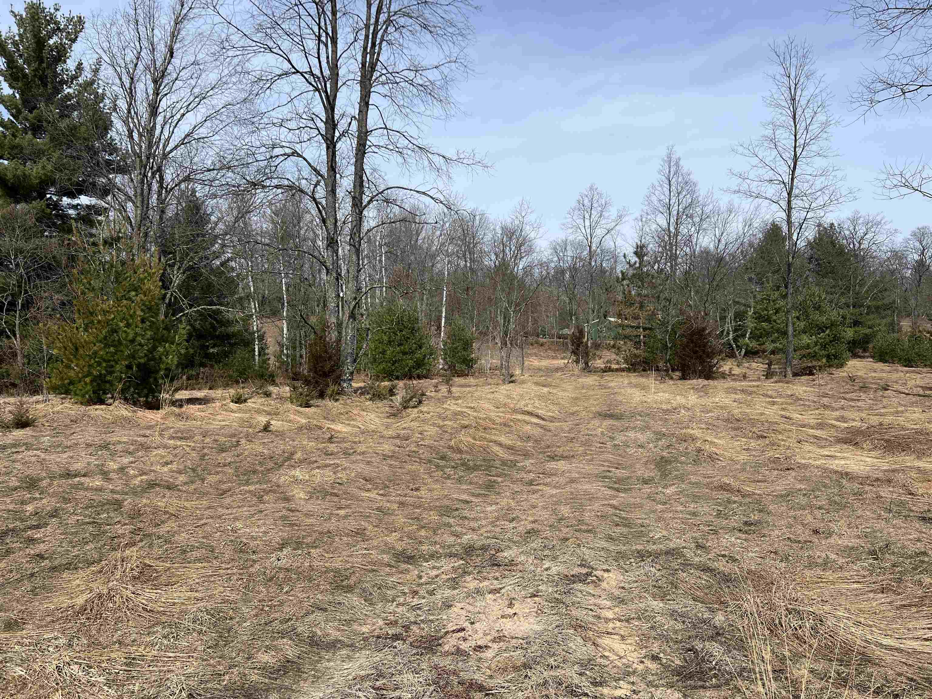 3660 Luce Road South Boardman, MI 49680 - Photo 24 of 29