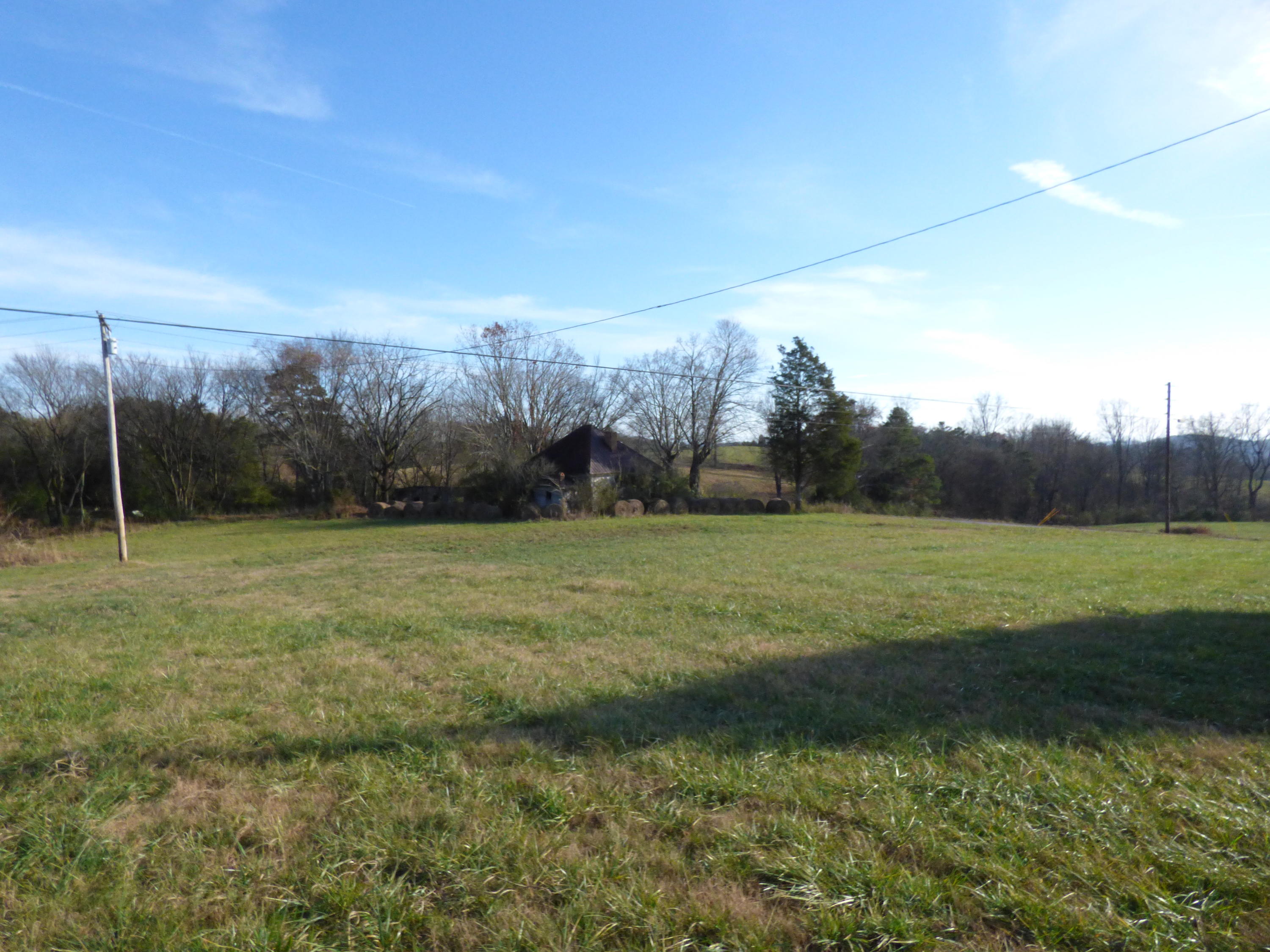 577 Indian Cave Road Blaine, TN 37709 - Photo 4 of 7 Level to rolling