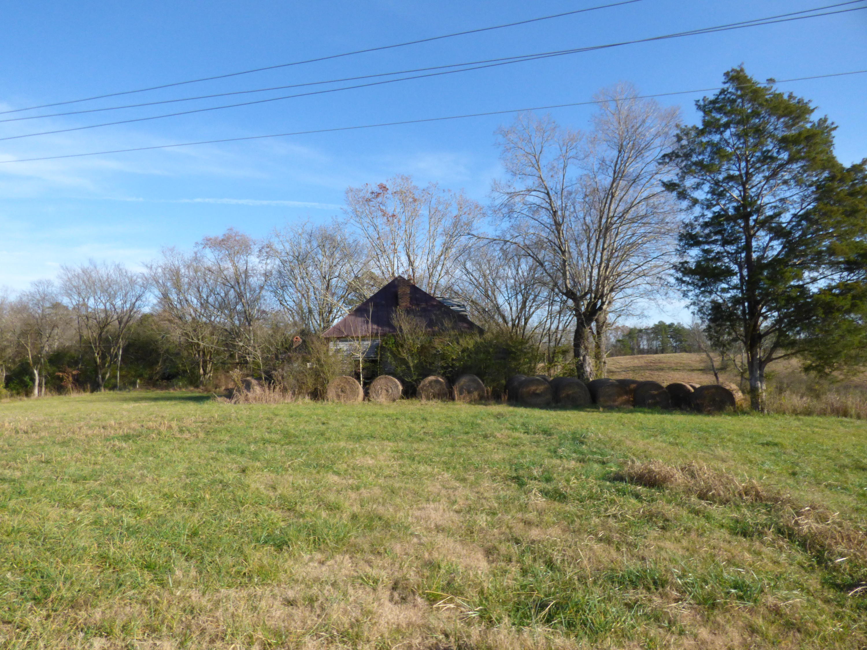 577 Indian Cave Road Blaine, TN 37709 - Photo 5 of 7 P1010049