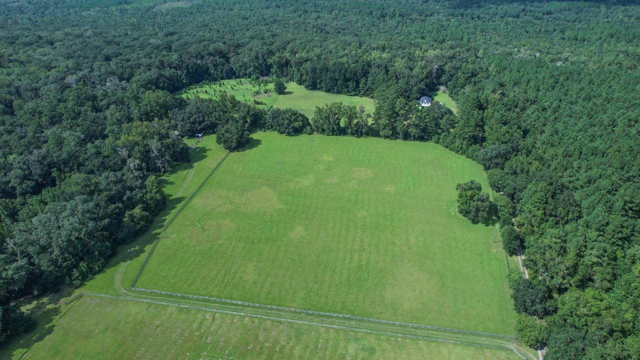 860 Shady Bridge Road Monticello, FL 32344 - Photo 3 of 32 Gallery Image 3