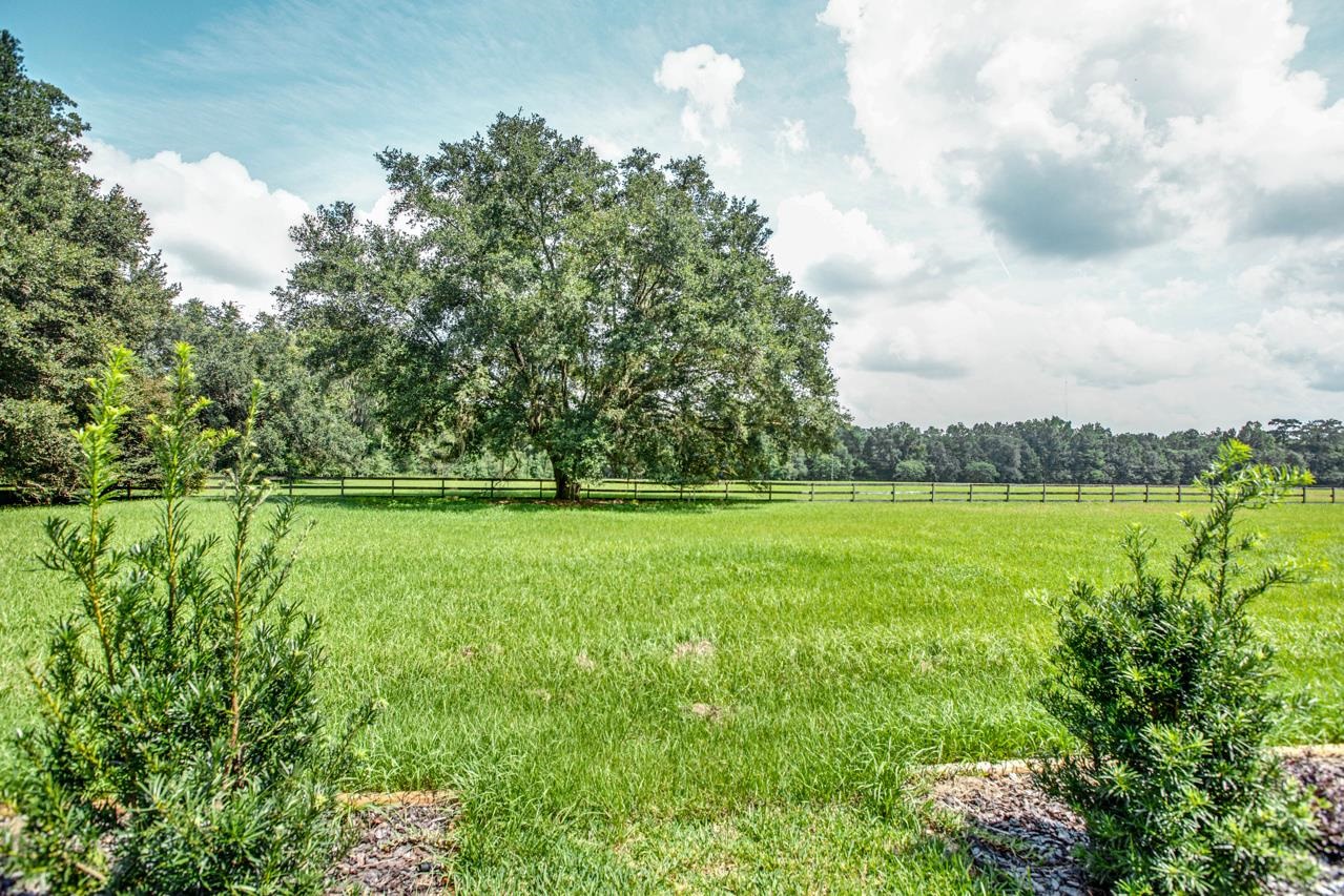 860 Shady Bridge Road Monticello, FL 32344 - Photo 32 of 32 Gallery Image 32