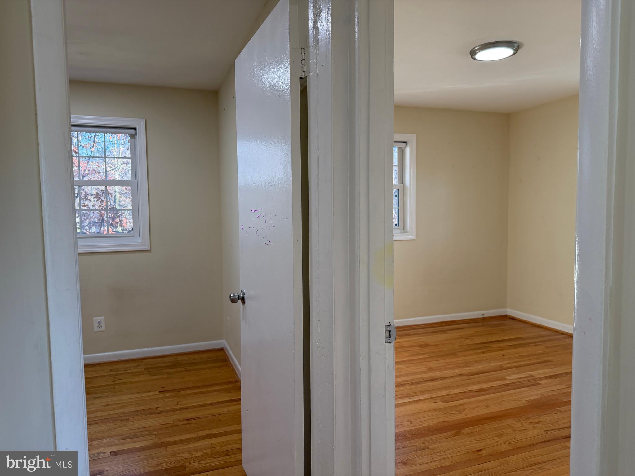 5206 Easton Drive Springfield, VA 22151 - Photo 13 of 43