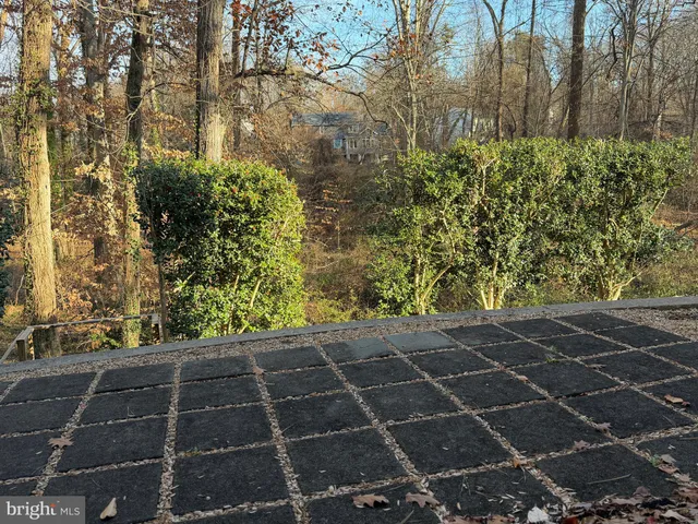 a view of a yard with plants and trees