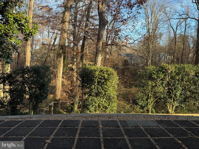 a view of a backyard