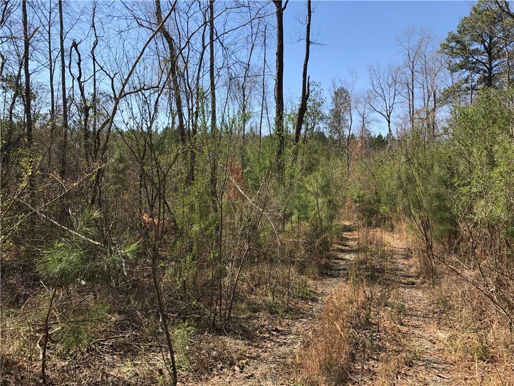 0 Coley Creek Road Alexander City, AL 35010 - Photo 1 of 8 Gallery Image 1