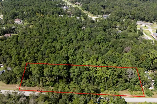 a view of a garden with flowers and white walls