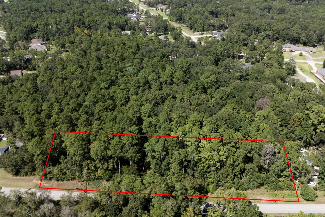 a view of a garden with flowers and white walls