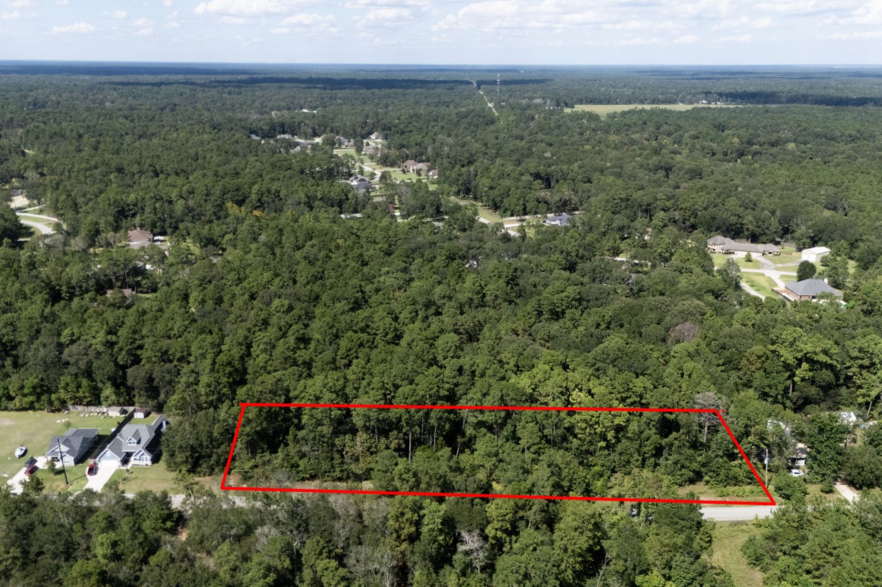 1135 Magnolia Point Drive Huffman, TX 77336 - Photo 2 of 8 a view of a bunch of flowers and trees