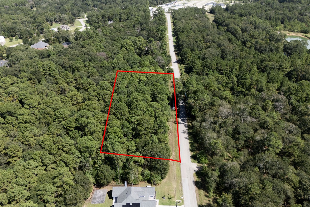 1135 Magnolia Point Drive Huffman, TX 77336 - Photo 4 of 8 a view of a yard with plants and large trees
